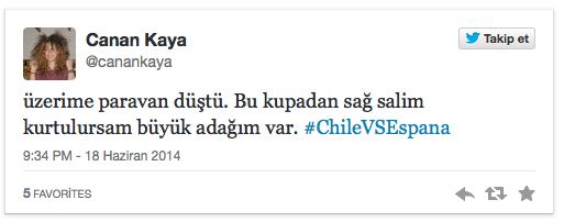 Dünya Kupasında şok! Türk gazeteci yaralandı - Resim : 1