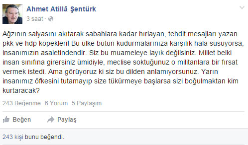 "Her şehit için HDP'li vekil indirilsin' demişti! Edebiyat profesörüne jet uzaklaştırma! - Resim : 1