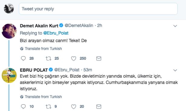 Ebru Polat'ın 'Hatay' sitemine Demet Akalın'dan destek geldi: Niye devlet ile olan işlerde hep aynı ekip gidiyor? - Resim : 2