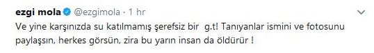 Ezgi Mola o habere ateş püskürdü: 'Karşınızda su katılmamış, şerefsiz bir g.t' - Resim : 2